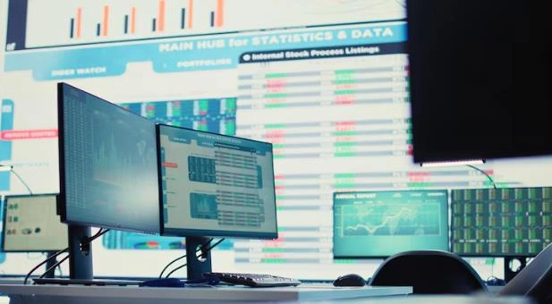 IT-Based Audit, Monitoring, and Fraud Detection